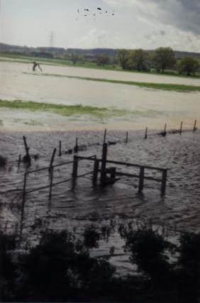 Vast sheets of water covered the floodplain near our path